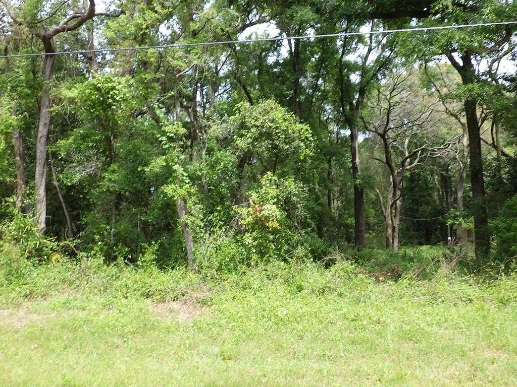 0.7 Acres of Residential Land for Sale in Trenton, Florida