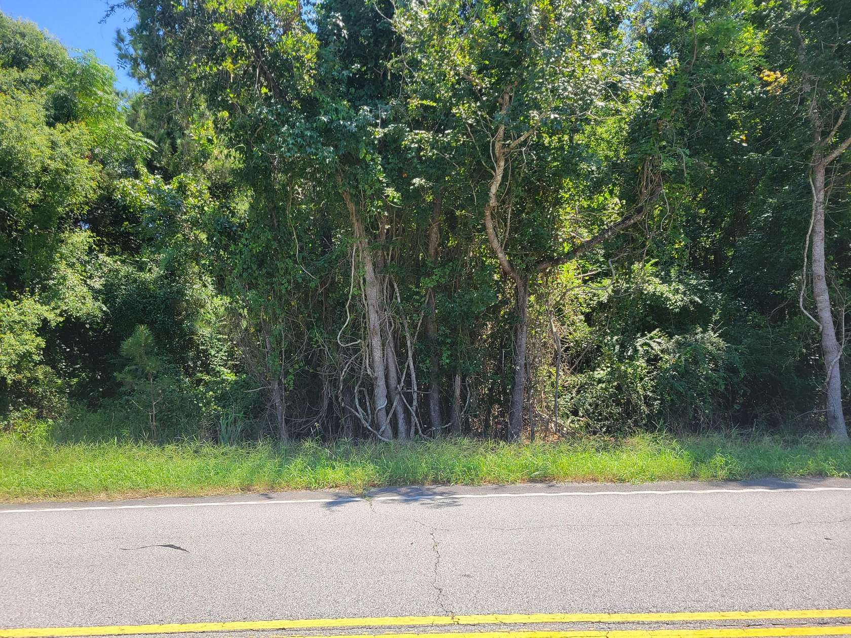 8 Acres of Residential Land for Sale in Moncks Corner, South Carolina