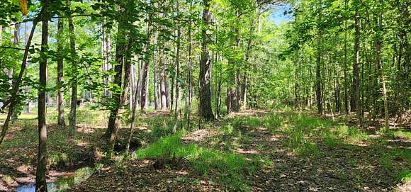 7.5 Acres of Residential Land for Sale in Walterboro, South Carolina