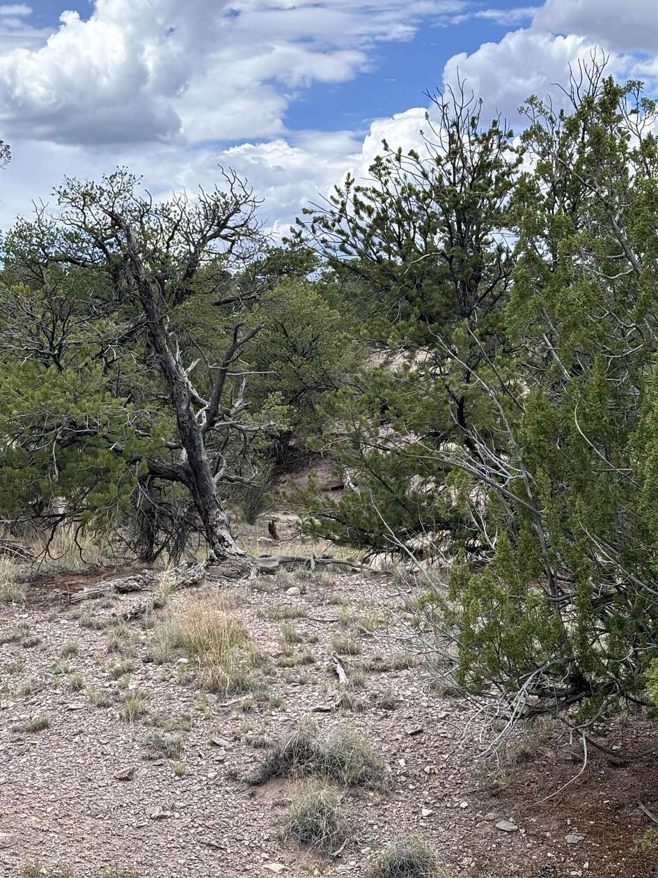 30.22 Acres of Recreational Land for Sale in Magdalena, New Mexico