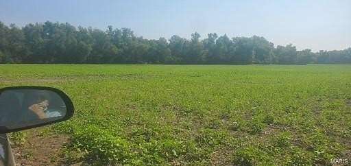 56.3 Acres of Recreational Land & Farm for Sale in Fults, Illinois