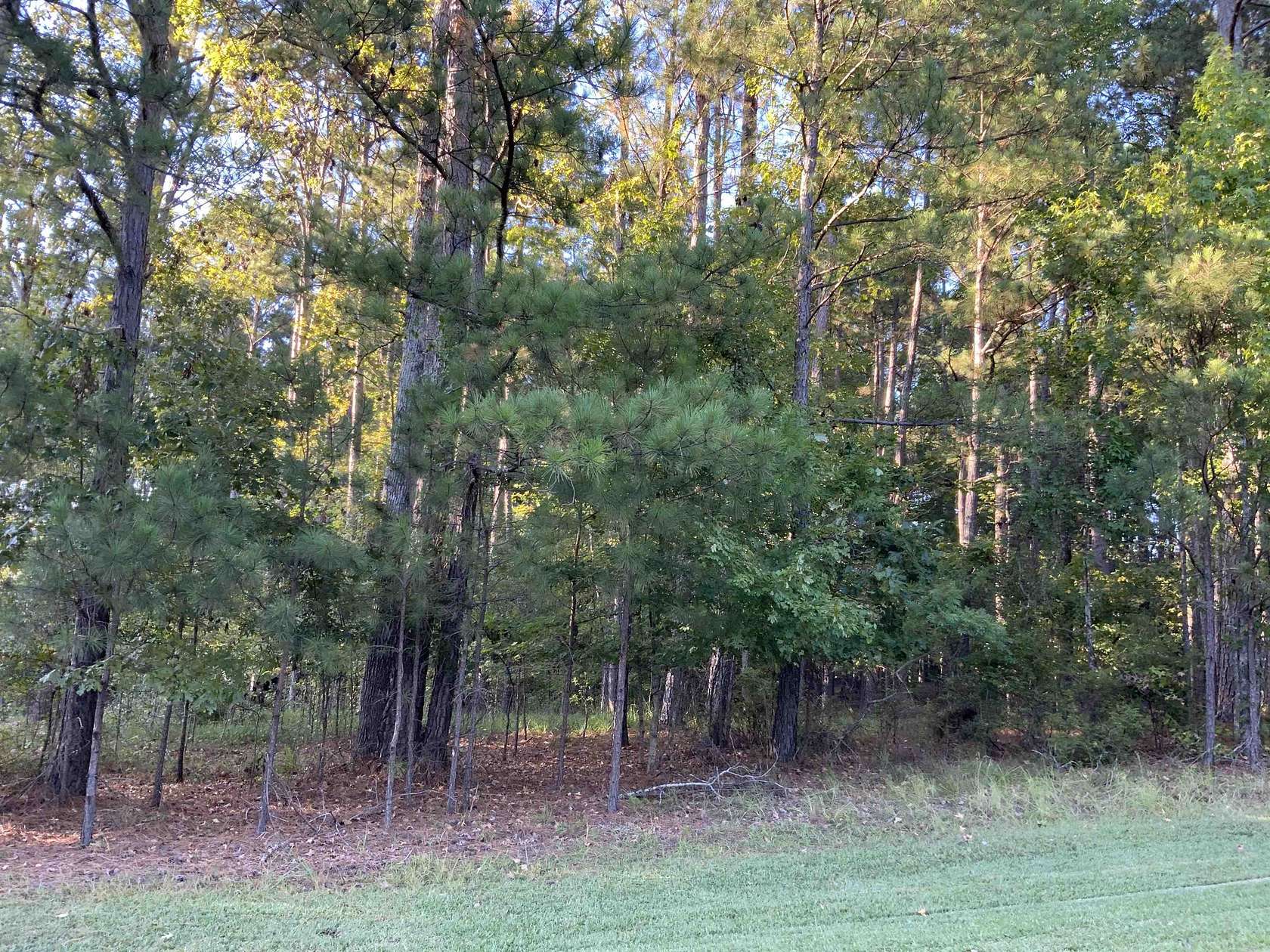 0.66 Acres of Residential Land for Sale in Greensboro, Georgia