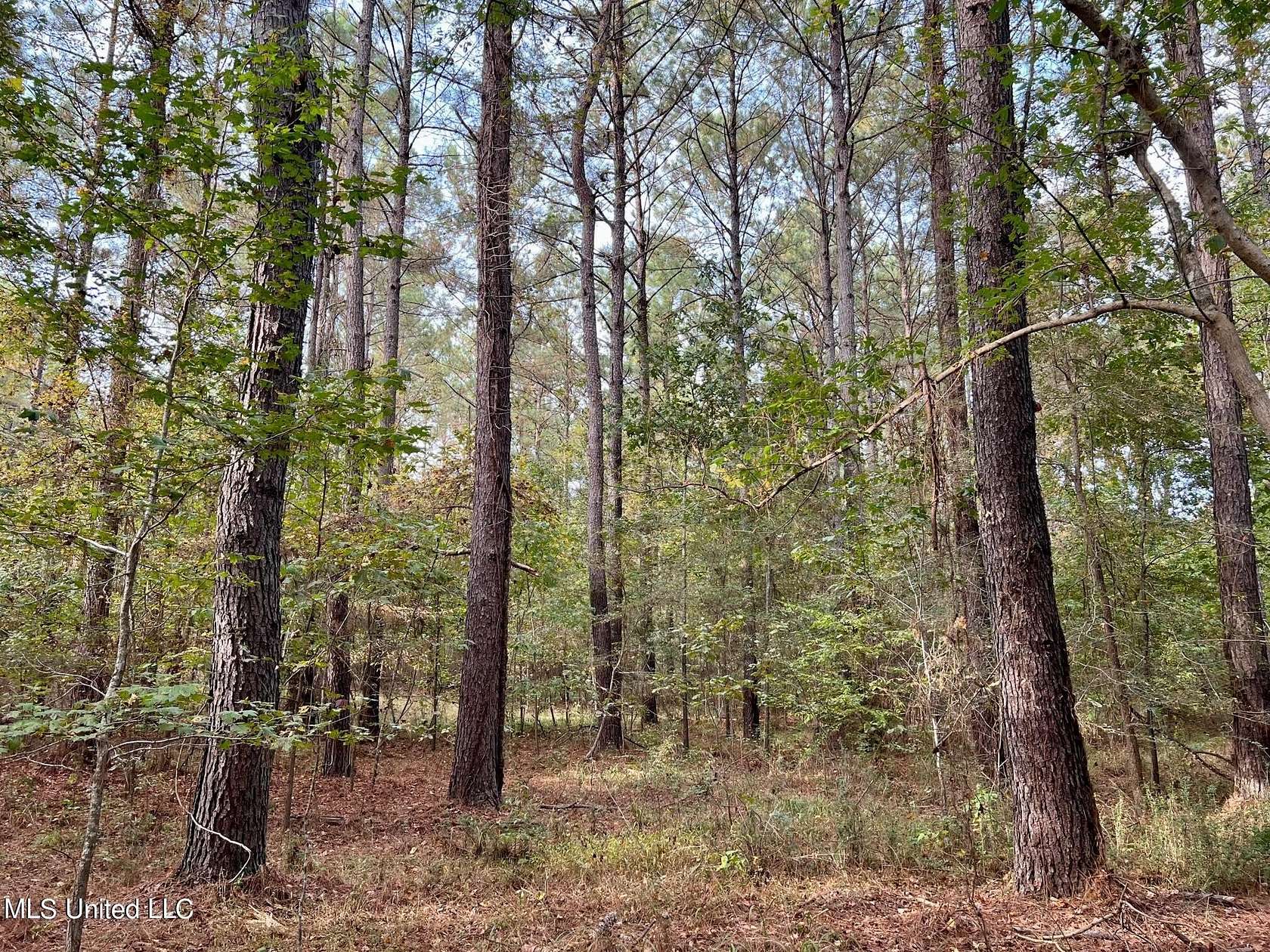 9.65 Acres of Residential Land for Sale in Flora, Mississippi