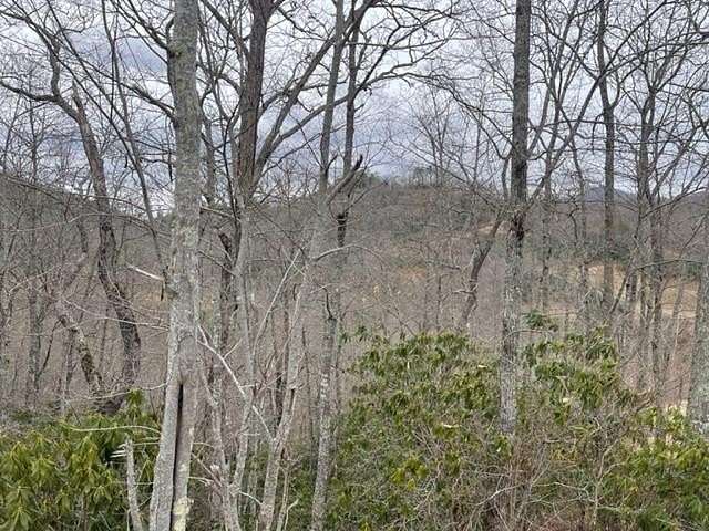 Land for Sale in Topton, North Carolina