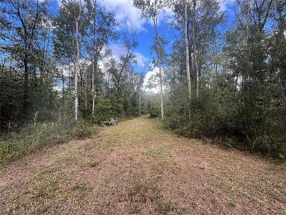 1.58 Acres of Residential Land for Sale in Hastings, Florida