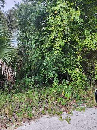 0.29 Acres of Residential Land for Sale in Silver Springs, Florida