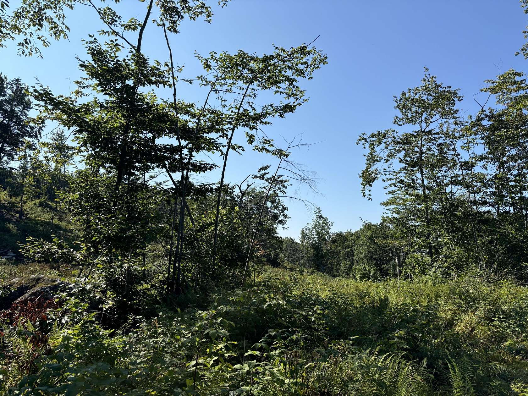 39 Acres of Recreational Land for Sale in Fayette, Maine