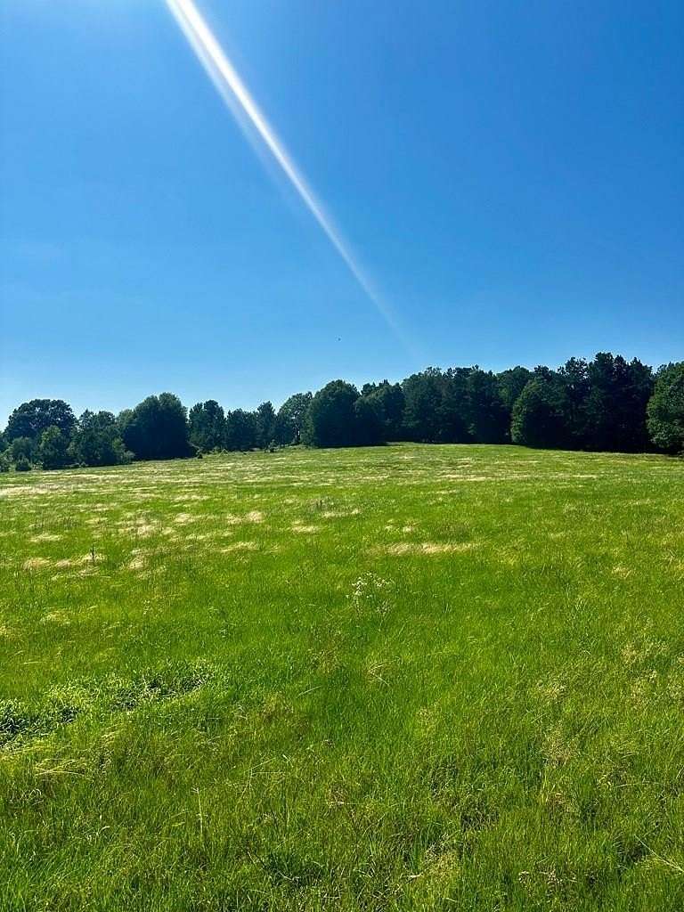 84 Acres of Agricultural Land for Sale in Nacogdoches, Texas