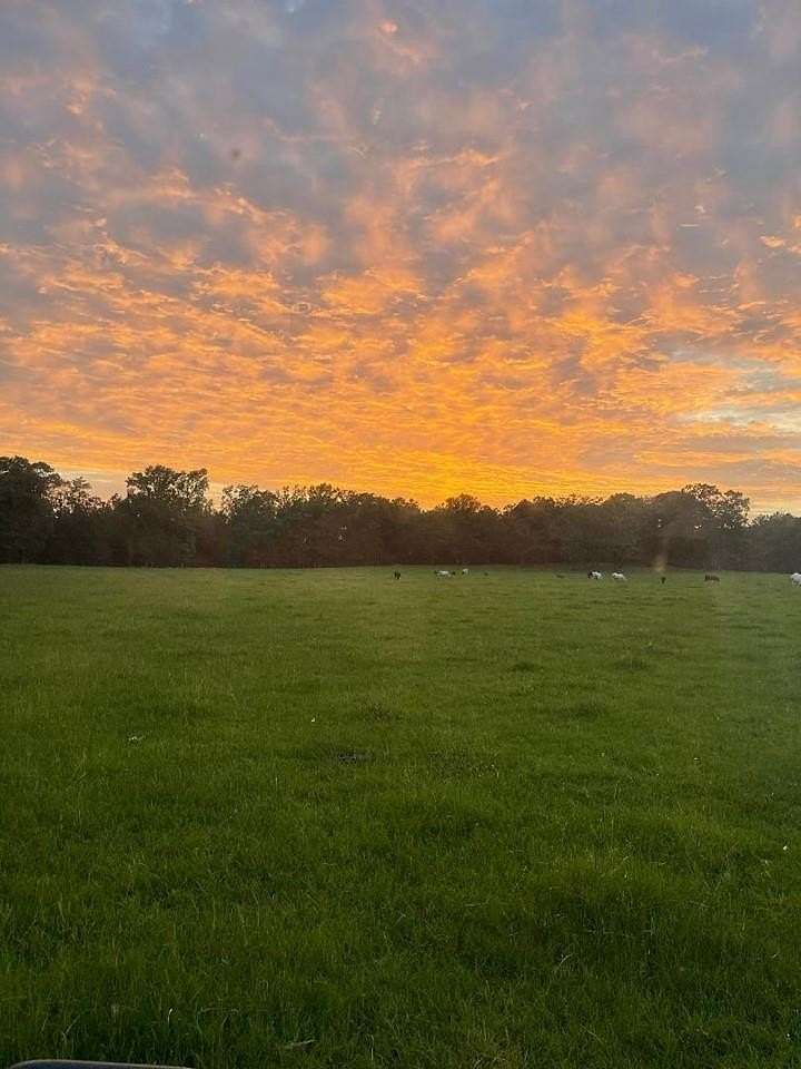 76 Acres of Agricultural Land with Home for Sale in Nacogdoches, Texas