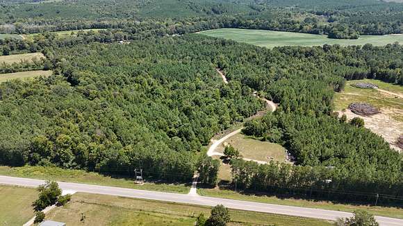 14.81 Acres of Recreational Land for Sale in Gaylesville, Alabama