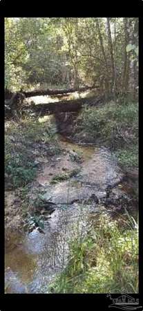 37 Acres of Recreational & Residential Land for Sale in McDavid, Florida