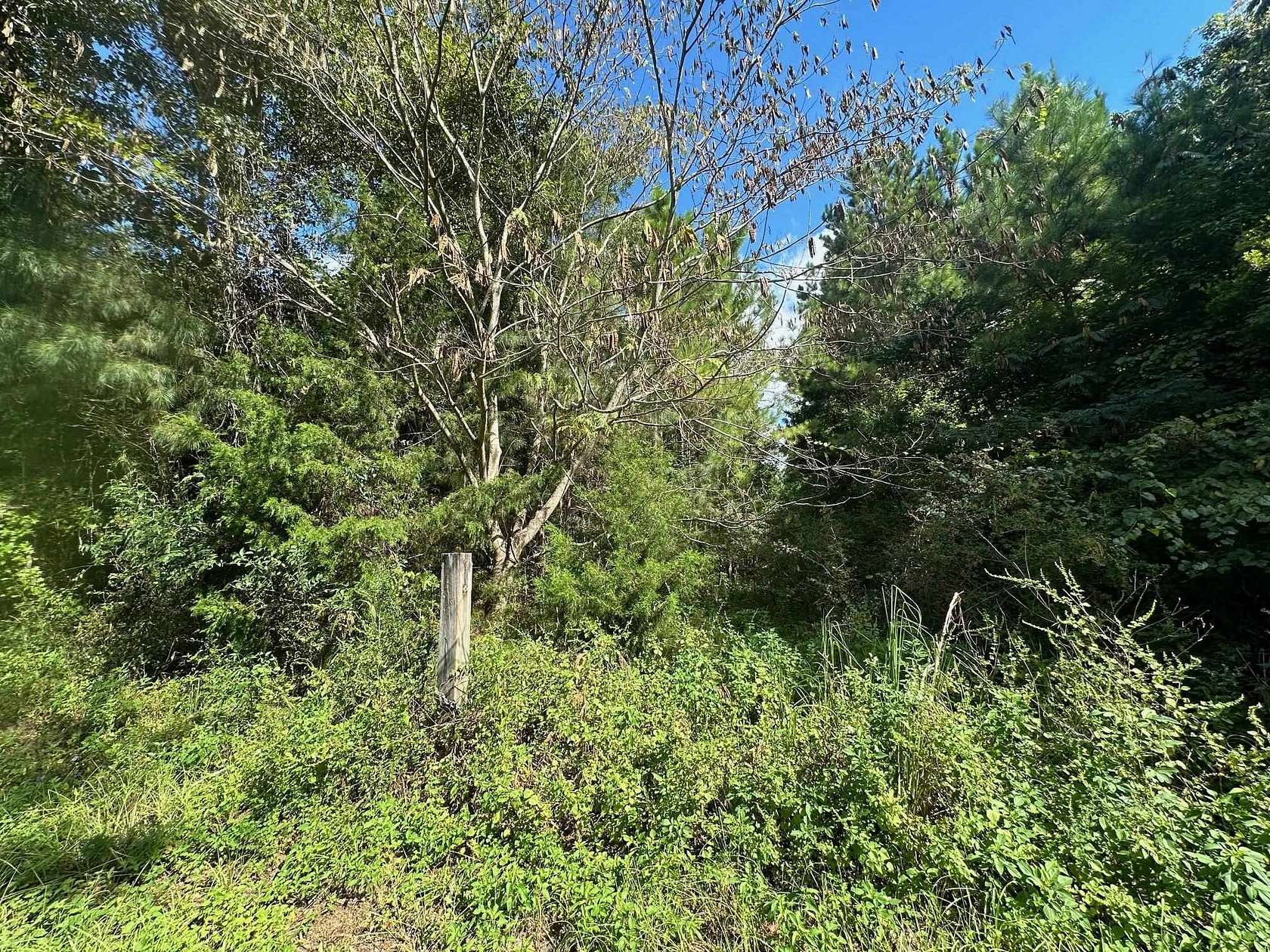 2.27 Acres of Residential Land for Sale in Quincy, Florida