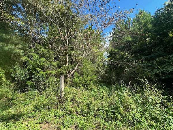 2.27 Acres of Residential Land for Sale in Quincy, Florida