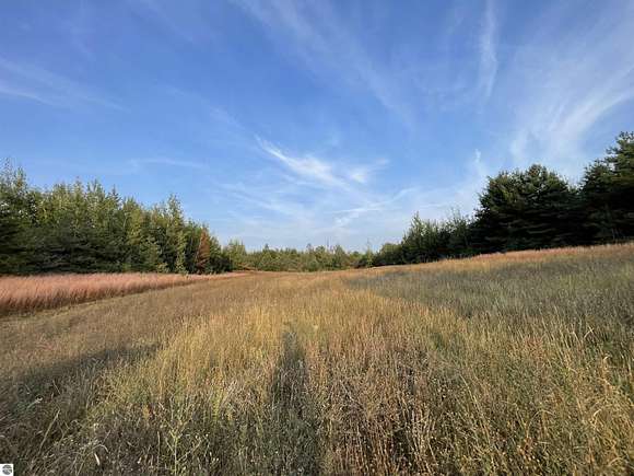 9.64 Acres of Residential Land for Sale in Manton, Michigan