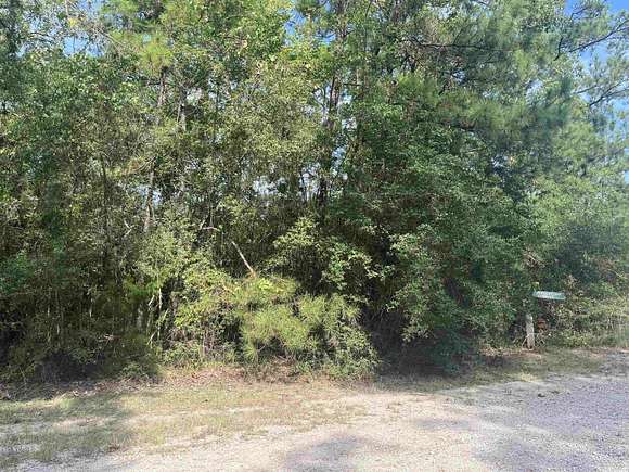 0.7 Acres of Residential Land for Sale in Brookeland, Texas