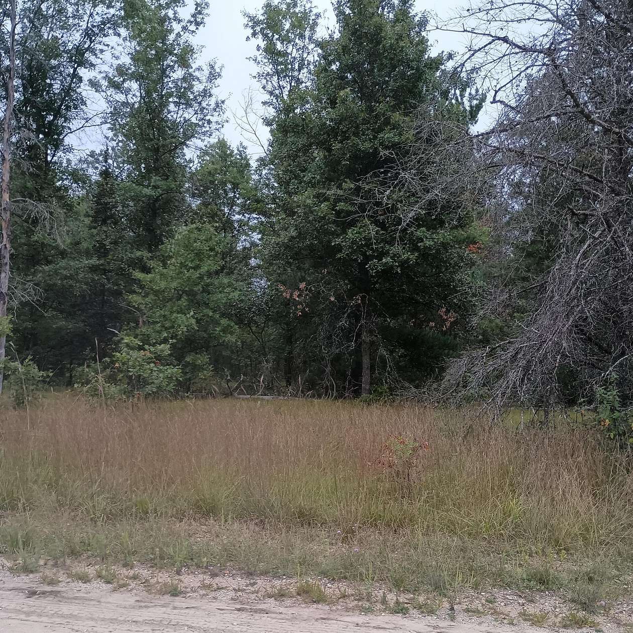 Land for Sale in Mio, Michigan