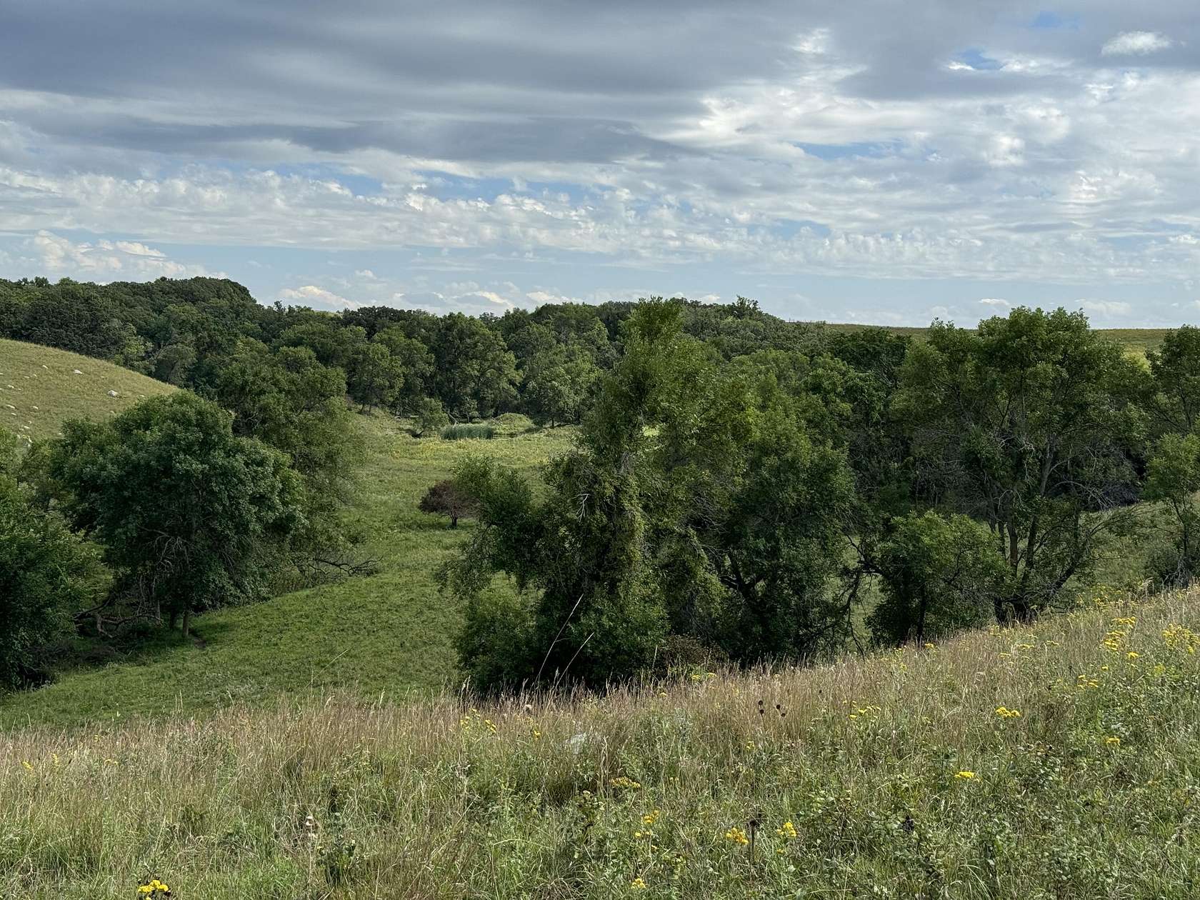 599.45 Acres of Agricultural Land for Sale in Britton, South Dakota