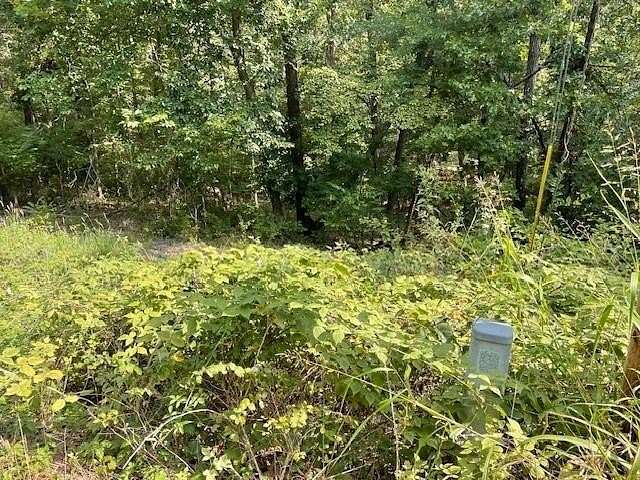 0.25 Acres of Residential Land for Sale in Bella Vista, Arkansas