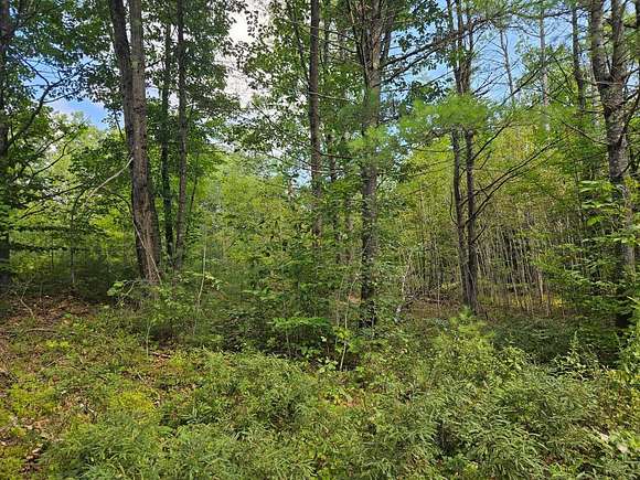 4.7 Acres of Residential Land for Sale in Greene, Maine