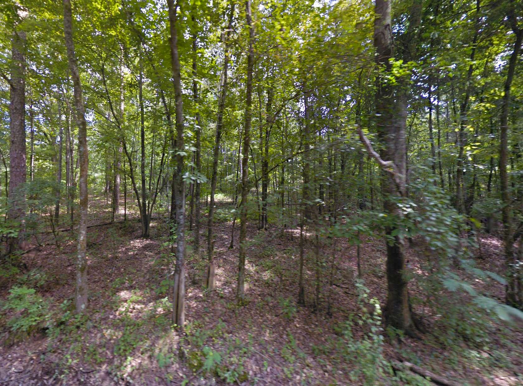 7.13 Acres of Land for Sale in Alpine, Alabama