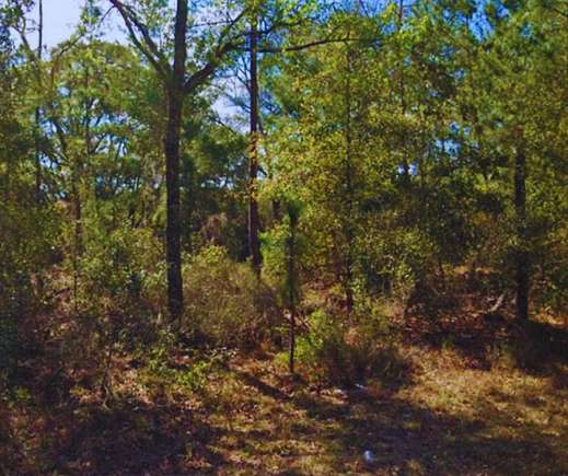 0.7 Acres of Residential Land for Sale in Interlachen, Florida