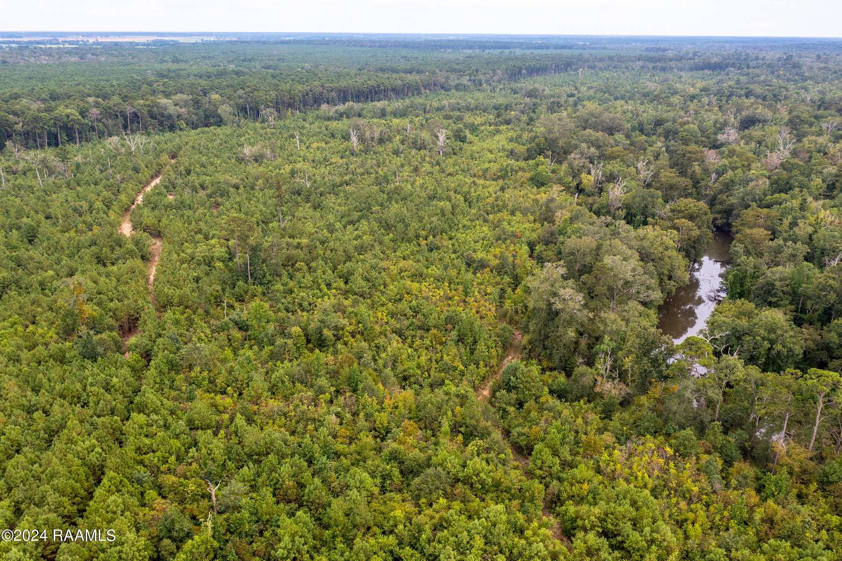 410.92 Acres of Recreational Land for Sale in Basile, Louisiana