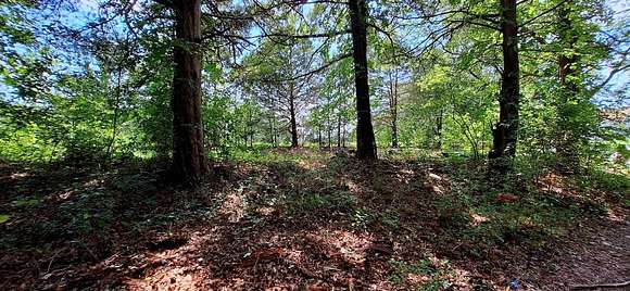 5 Acres of Residential Land for Sale in Colonial Beach, Virginia