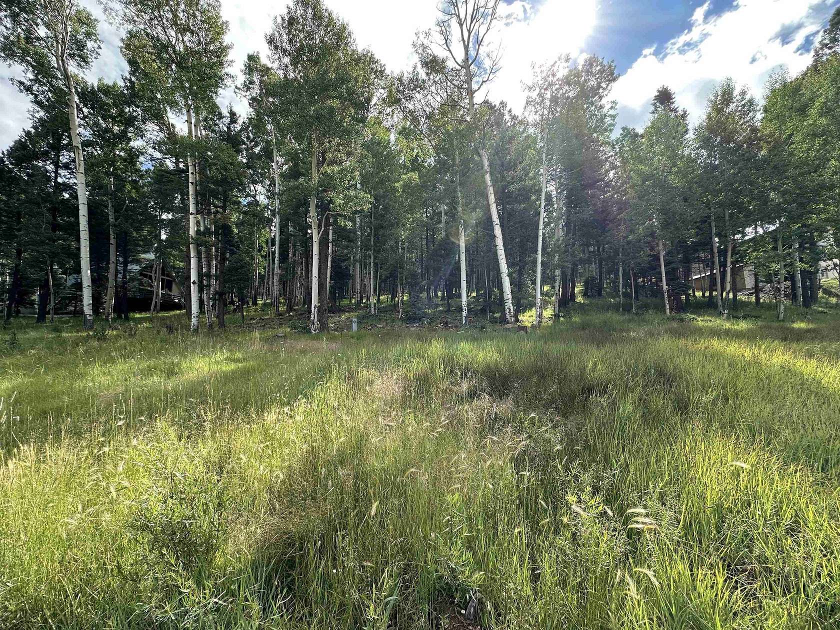 0.84 Acres of Residential Land for Sale in Angel Fire, New Mexico