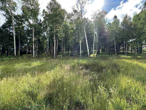 0.84 Acres of Land for Sale in Angel Fire, New Mexico