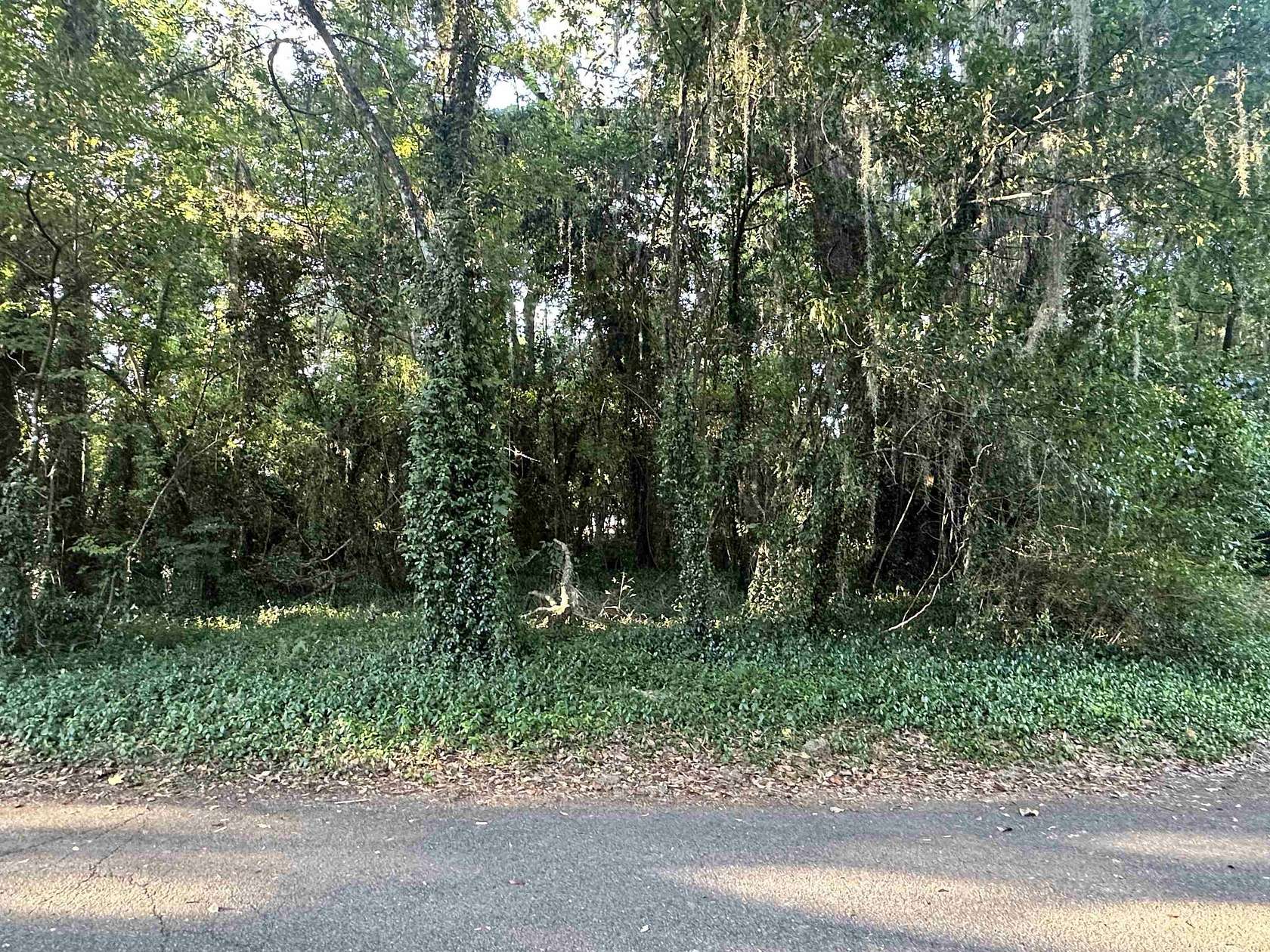 0.36 Acres of Land for Sale in Tallahassee, Florida