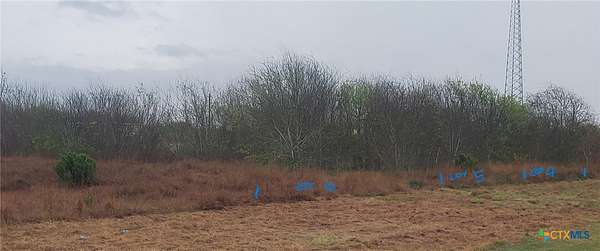 0.48 Acres of Land for Sale in Seadrift, Texas