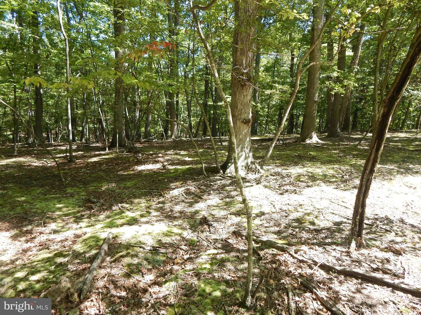 5.61 Acres of Residential Land for Sale in Great Cacapon, West Virginia