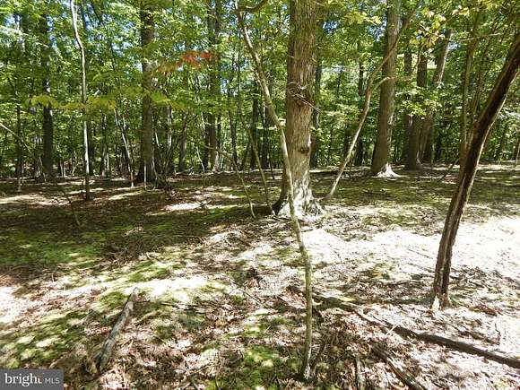 5.61 Acres of Residential Land for Sale in Great Cacapon, West Virginia