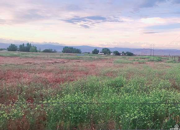 2.77 Acres of Residential Land for Sale in Naples, Utah