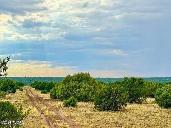 81.6 Acres of Recreational Land for Sale in Show Low, Arizona