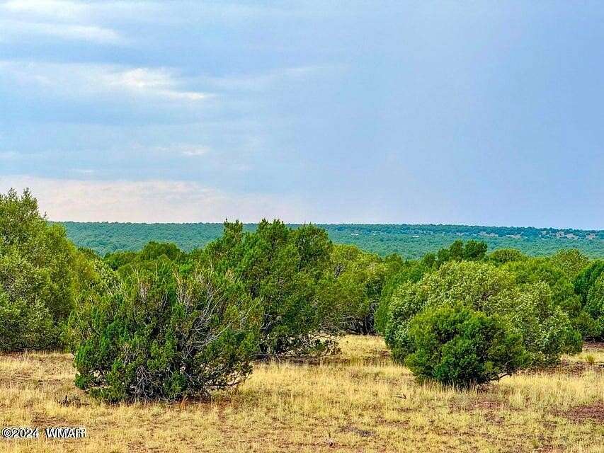 81.51 Acres of Recreational Land for Sale in Show Low, Arizona