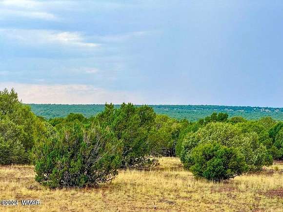 81.51 Acres of Recreational Land for Sale in Show Low, Arizona