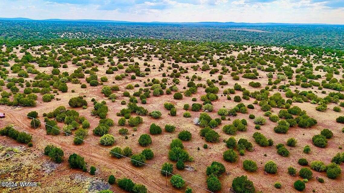 248.5 Acres of Recreational Land for Sale in Show Low, Arizona