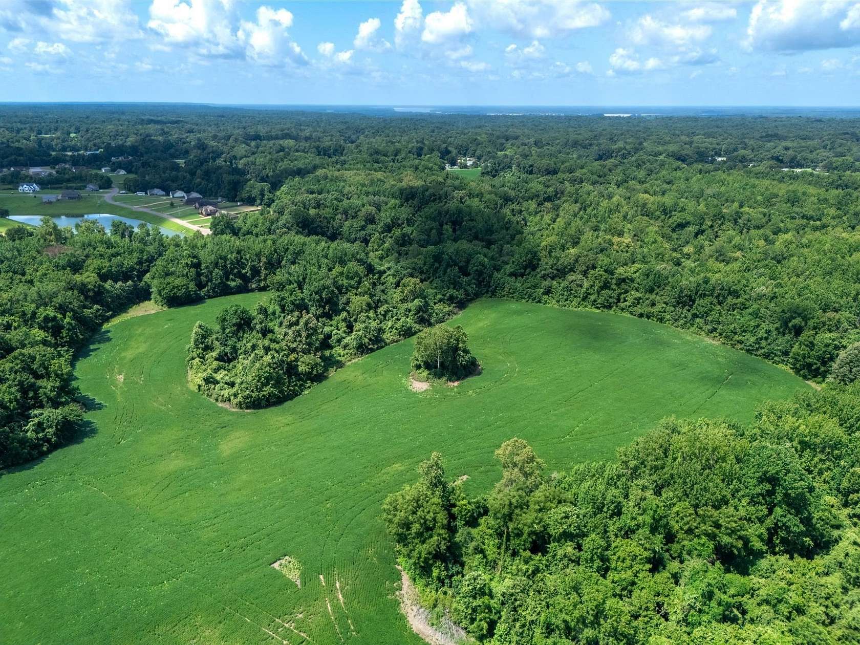 11.85 Acres of Land for Sale in Drummonds, Tennessee