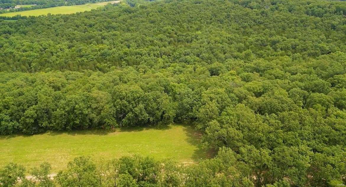 10.68 Acres of Land for Sale in Festus, Missouri