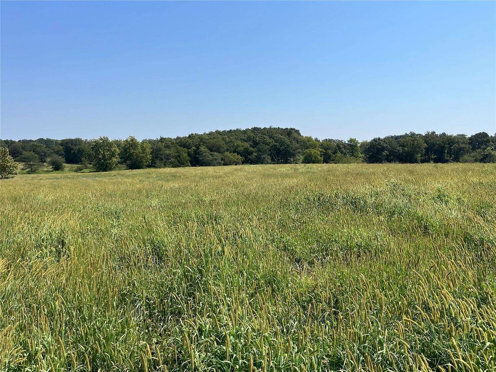 22 Acres of Agricultural Land for Sale in Old Monroe, Missouri