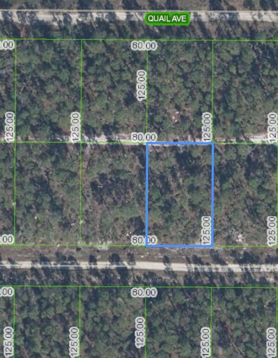 0.23 Acres of Residential Land for Sale in Sebring, Florida