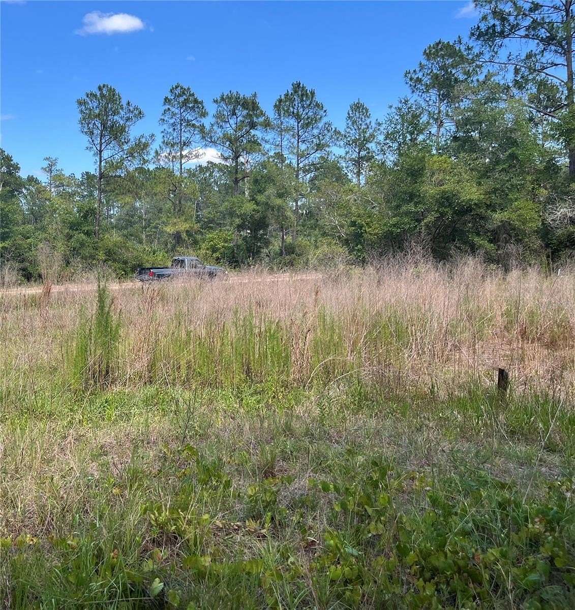 0.26 Acres of Residential Land for Sale in Satsuma, Florida