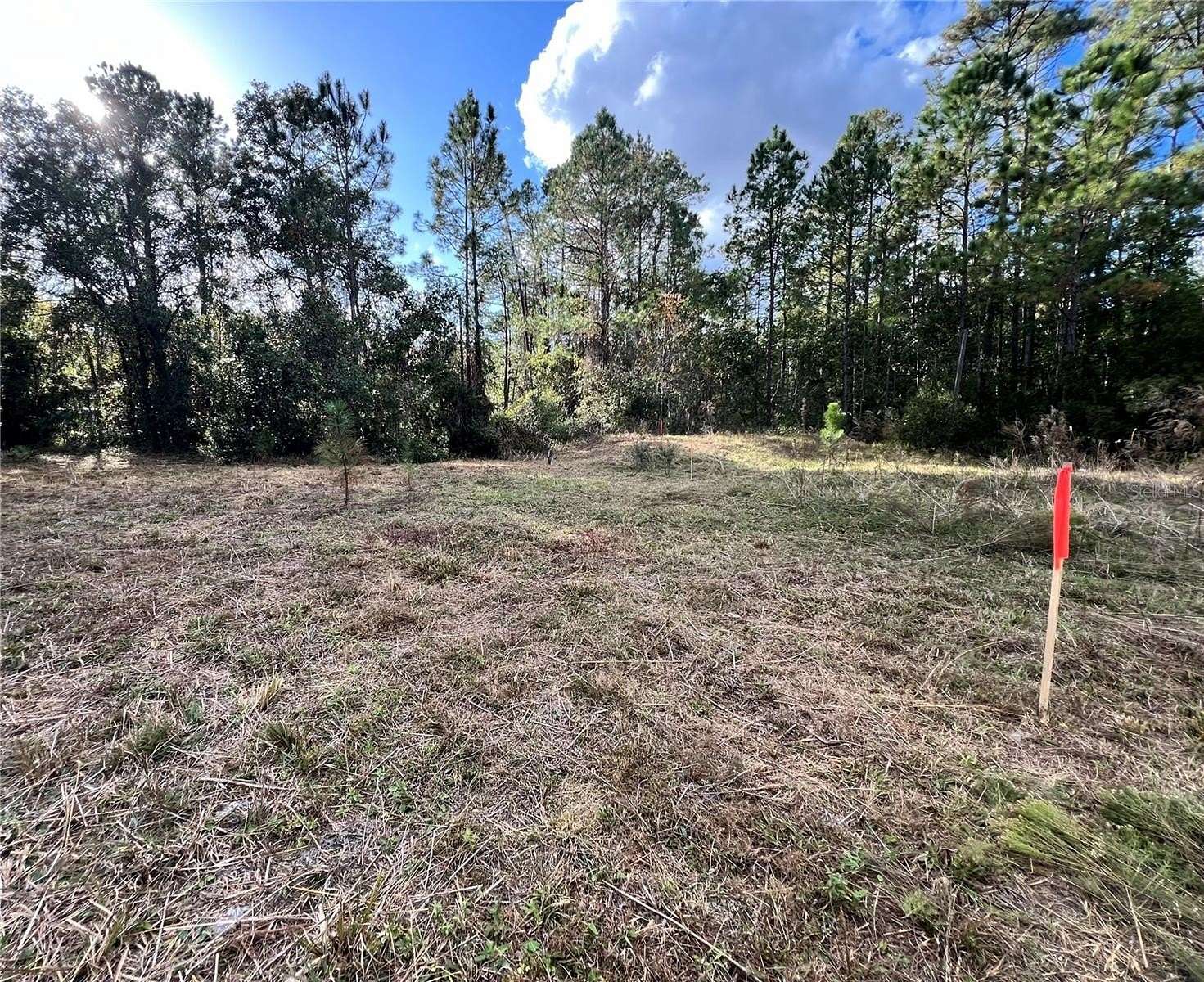 0.26 Acres of Residential Land for Sale in Satsuma, Florida