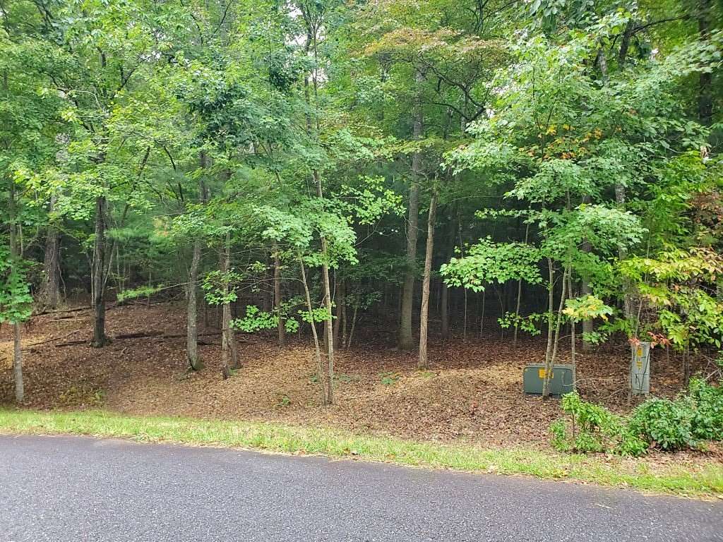 1.098 Acres of Residential Land for Sale in Blairsville, Georgia