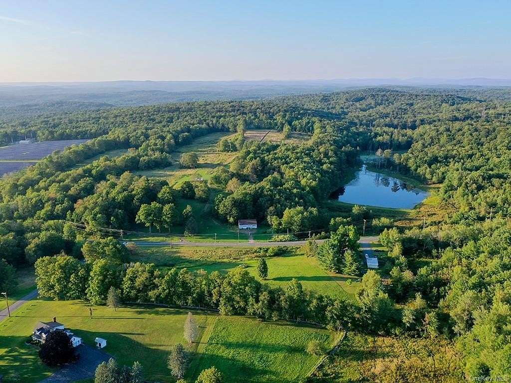 120.28 Acres of Land for Sale in Monticello, New York