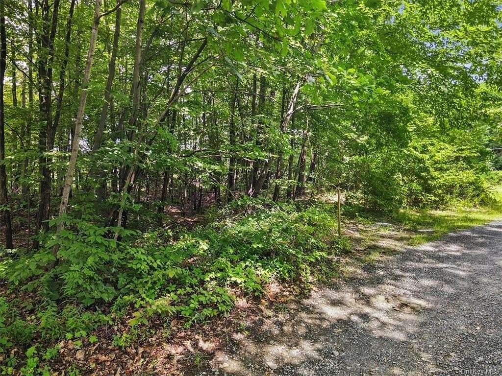 0.72 Acres of Residential Land for Sale in Rhinebeck, New York