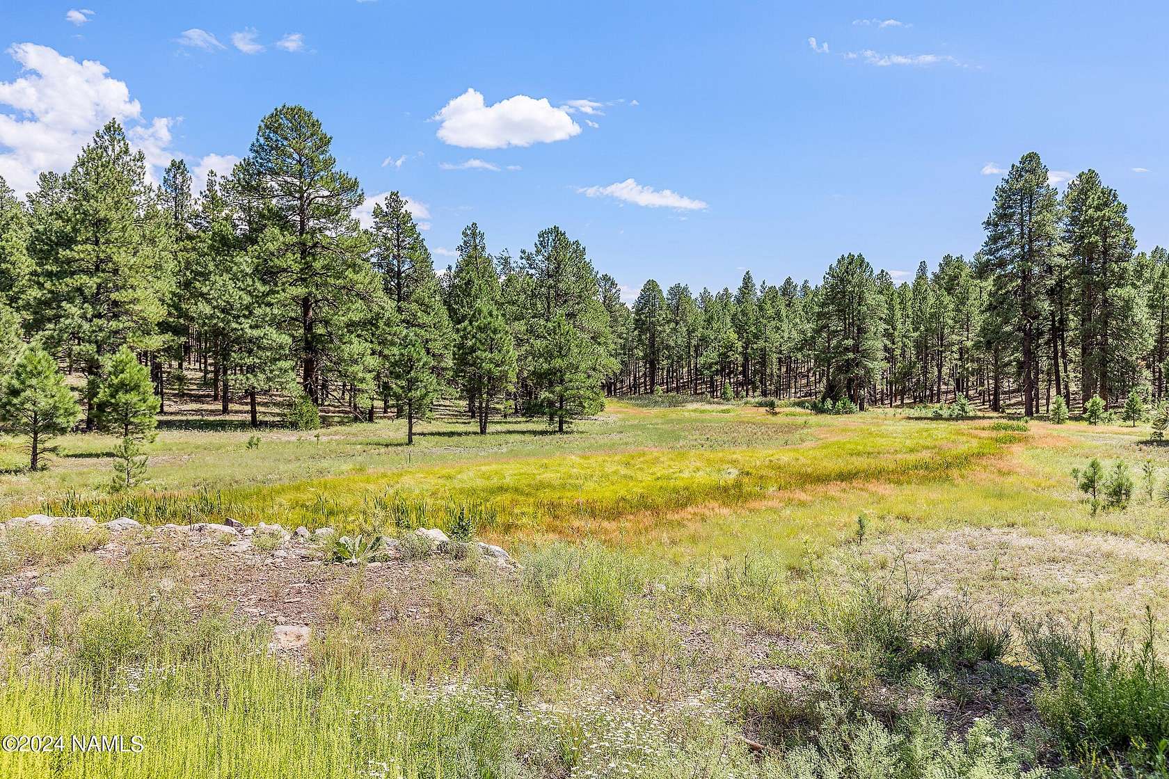 10.01 Acres of Land for Sale in Flagstaff, Arizona