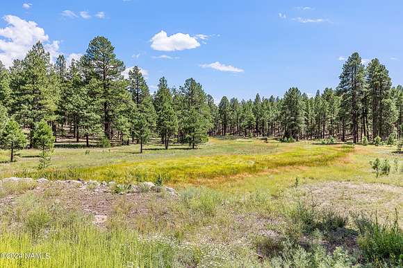 10.01 Acres of Land for Sale in Flagstaff, Arizona