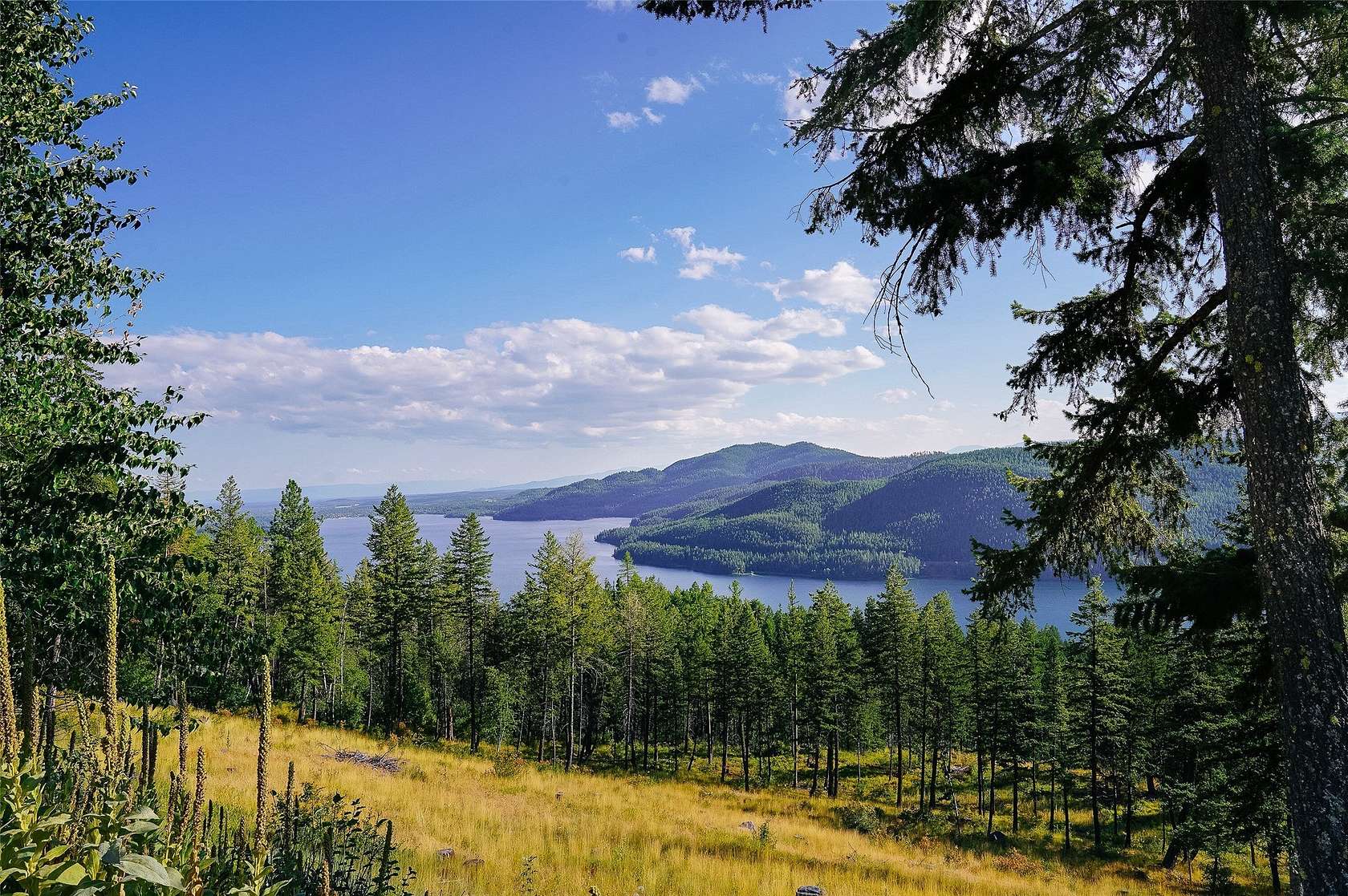 11.32 Acres of Recreational Land for Sale in Whitefish, Montana